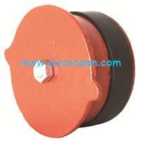 Expansion Plug