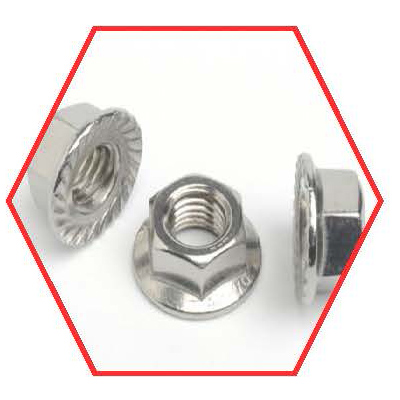 Hex Flange Nut